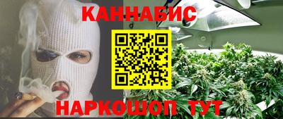 индика Жуковский