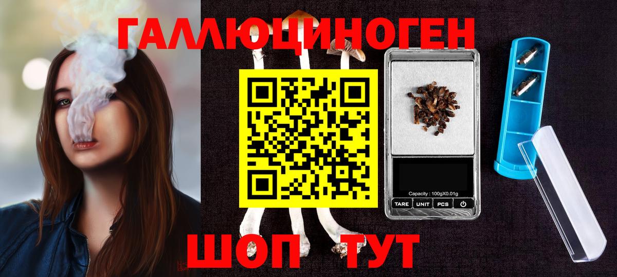 Галлюциногенные грибы мухоморы Курчатов