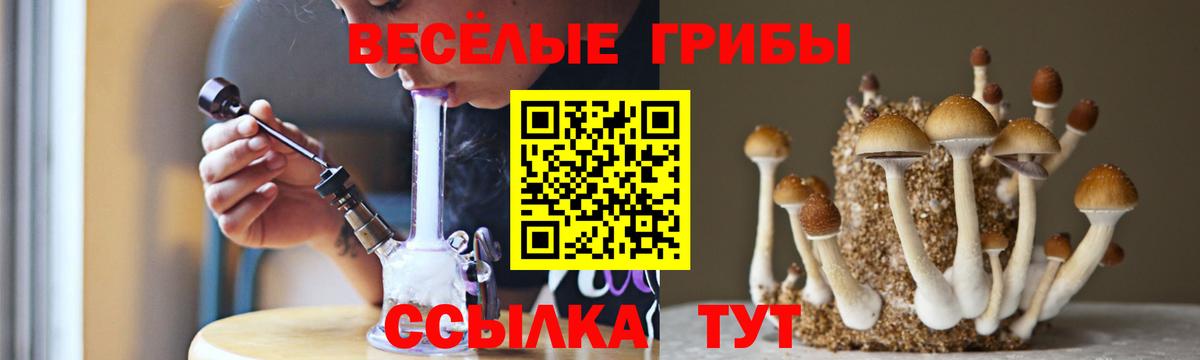Псилоцибиновые грибы мухоморы  Галлюциногенные грибы мухоморы  Курчатов  Вход с VPN 