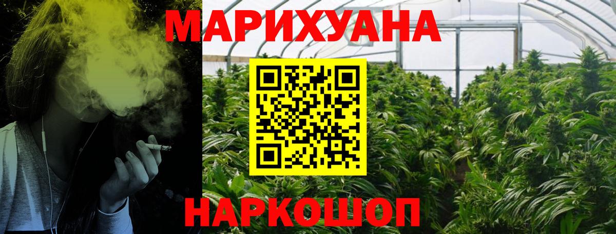 Курчатов  Конопля планчик  Бошки марихуана LSD WEED  Вход с VPN  Марихуана THC 21%  Бошки марихуана LSD WEED 